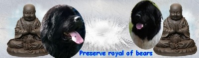 Preserve Royal Of Bears